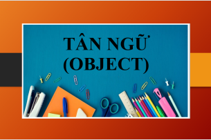 Tân ngữ (Object) là gì? | Phân loại - Hình thức - Bài tập vận dụng về Tân ngữ (2025)