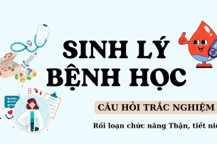Câu hỏi trắc nghiệm RỐI LOẠN CHỨC NĂNG THẬN - TIẾT NIỆU | Sinh lý bệnh học | Đại học Y Dược Huế (2025)