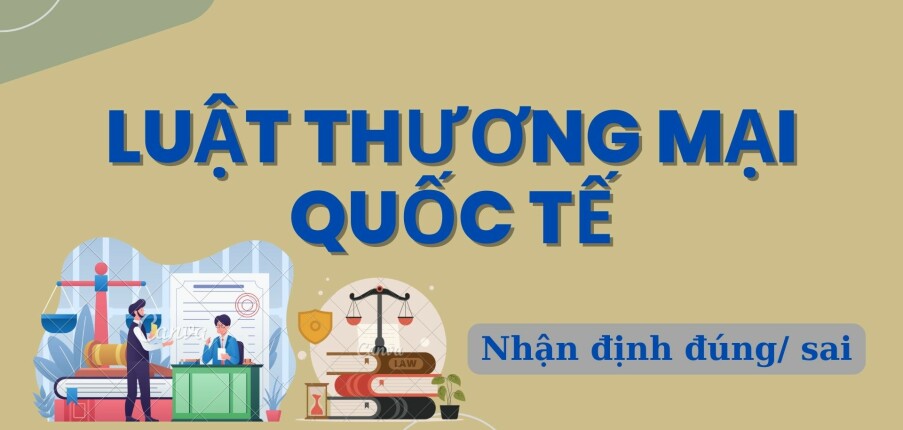 TOP 34 câu hỏi nhận định đúng/sai Luật thương mại quốc tế hay, hấp dẫn nhất (2025)