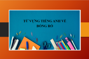 Tổng hợp từ vựng tiếng Anh về: Bóng rổ - Một số thuật ngữ về môn Bóng rổ (2025)