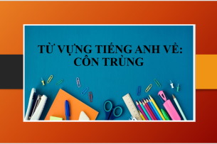 Từ vựng tiếng Anh về Côn trùng | Một số câu nói hay về côn trùng - Đoạn văn miêu tả côn trùng (2025)