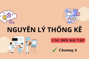 Câu hỏi bài tập CHƯƠNG 4: NGHIÊN CỨU THỐNG KÊ CÁC MỨC ĐỘ CỦA HIỆN TƯỢNG KINH TẾ XÃ HỘI  | Nguyên lý thống kê | NEU (2025)