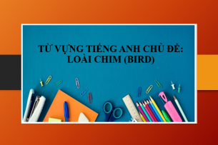 Từ vựng tiếng Anh chủ đề: Bird (Loài chim) | Tên các loài chim trong tiếng Anh (2025)