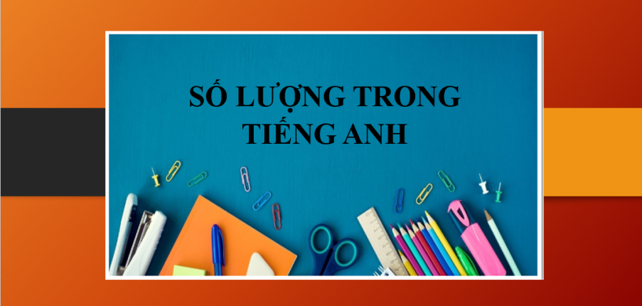 Số lượng trong tiếng Anh là gì? | Ví dụ sử dụng số lượng trong tiếng Anh (2025)