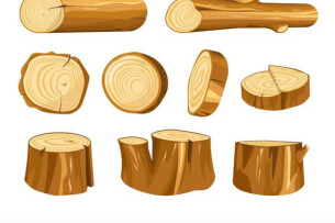 Tập làm văn lớp 2: Viết 4 - 5 câu giới thiệu về một đồ vật được làm từ tre hoặc gỗ (2025)