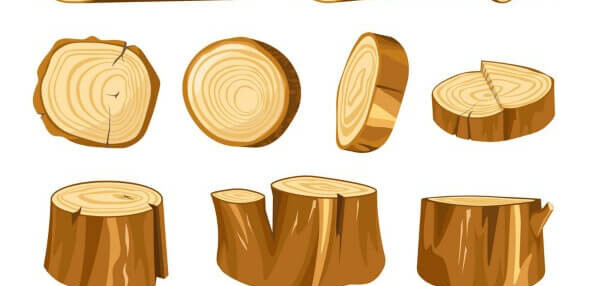 Tập làm văn lớp 2: Viết 4 - 5 câu giới thiệu về một đồ vật được làm từ tre hoặc gỗ (2025)