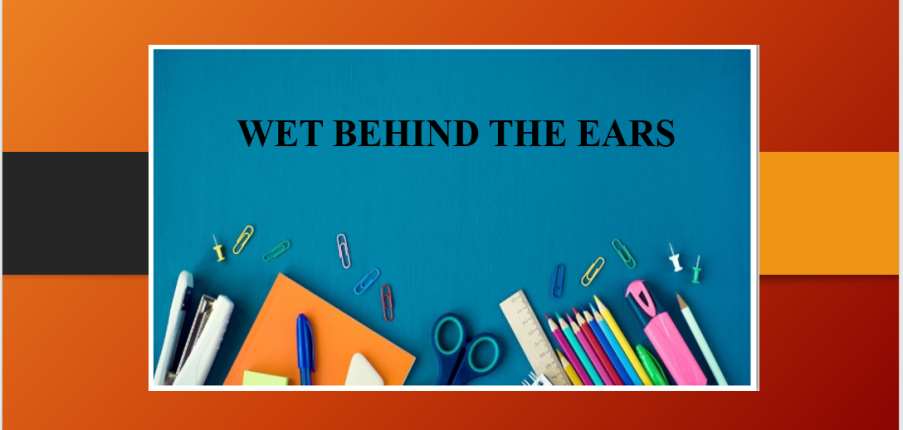 Wet behind the ears là gì? | Ý nghĩa - Nguồn gốc - Ứng dụng vào bài thi IELTS Speaking (2025)