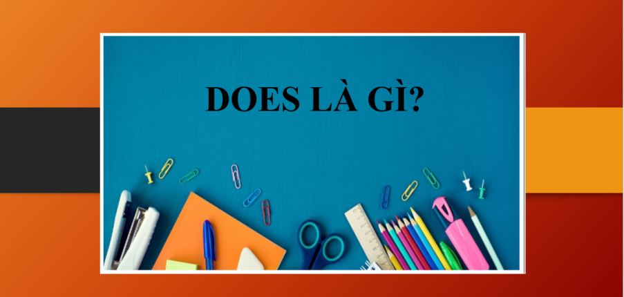 Does là gì? | Cách dùng - Cấu trúc câu với does - Những cụm từ thông dụng với does - Khi nào dùng is và does? (2025)