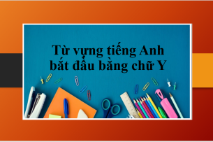 Từ vựng tiếng Anh bắt đầu bằng chữ Y - Bài tập vận dụng giúp ghi nhớ từ vựng (2025)