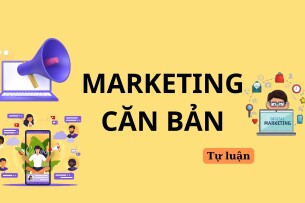 Phân tích chiến lược marketing của Vinamilk? | Câu hỏi tự luận môn Marketing căn bản | Trường Đại học Kinh tế Thành phố Hồ Chí Minh (2025)