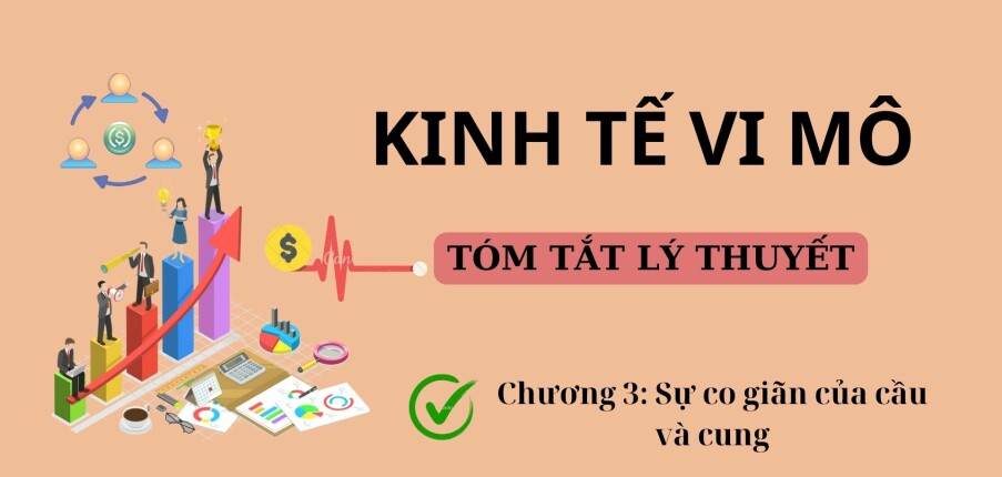 Sự co giãn của cầu và cung | Tóm tắt lý thuyết Kinh tế vi mô | UFM (2025)