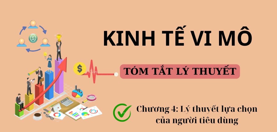 Lý thuyết lựa chọn của người tiêu dùng | Tóm tắt lý thuyết Kinh tế vi mô | UFM (2025)