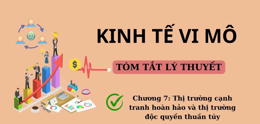 Thị trường cạnh tranh hoàn hảo và thị trường độc quyền thuần túy | Tóm tắt lý thuyết Kinh tế vi mô | UFM (2025)