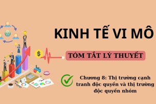 Thị trường cạnh tranh độc quyền và thị trường độc quyền nhóm | Tóm tắt lý thuyết Kinh tế vi mô | UFM (2025)