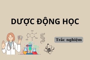 73 Câu hỏi trắc nghiệm Dược động học (có đáp án) | Trường Đại học Y Dược Thành phố Hồ Chí Minh (2025)