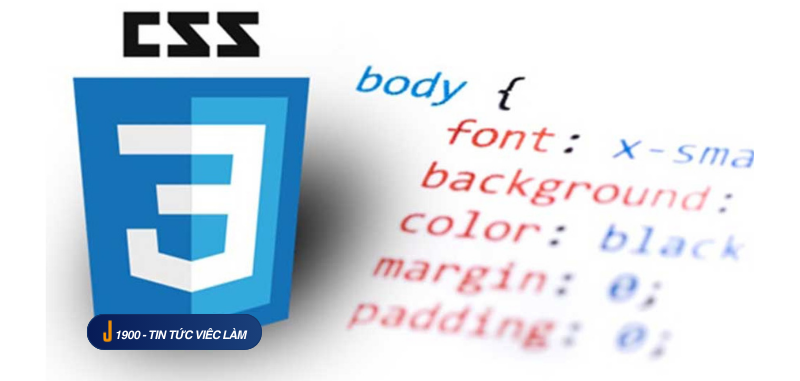 Ngôn ngữ CSS là gì? Những kiến thức cơ bản về CSS