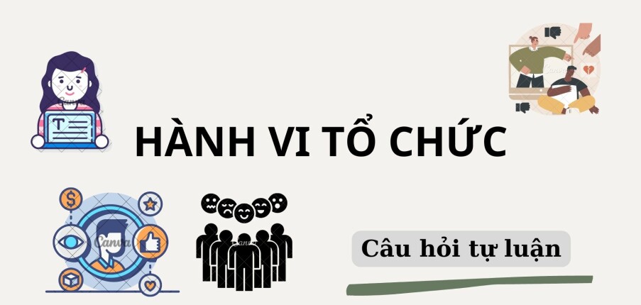 Phân tích các yếu tố ảnh hưởng đến hành vi cá nhân trong tổ chức? | Câu hỏi tự luận ôn tập môn Hành vi tổ chức | NEU (2025)