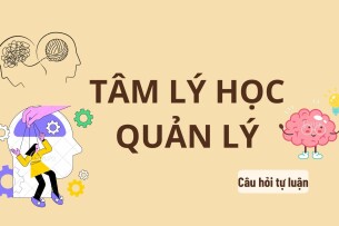 Các phong cách lãnh đạo cơ bản? | Câu hỏi tự luận ôn tập môn Tâm lý học quản lý | Trường Đại học Lao động Xã hội (2025)