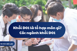 Khối D01 là tổ hợp môn gì? Các ngành khối D01 (2025)
