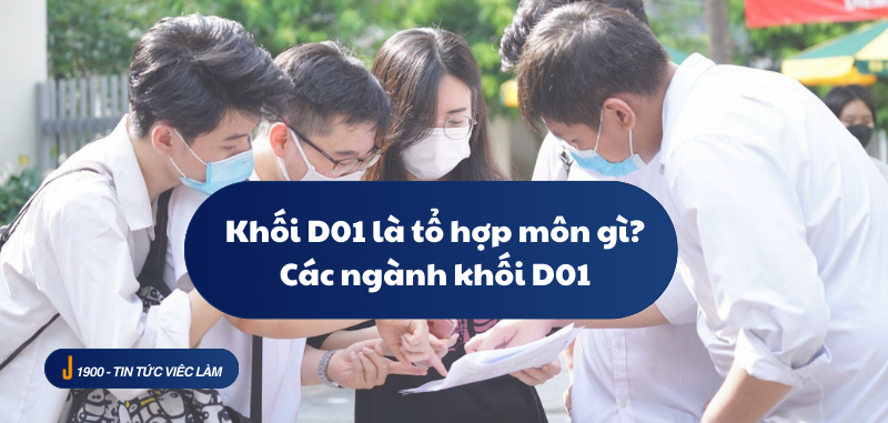 Khối D01 là tổ hợp môn gì? Các ngành khối D01 (2025)