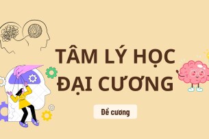 Top 100 câu hỏi ôn tập học phần Tâm lý học đại cương | Tổng hợp nhiều trường Đại học (2025)