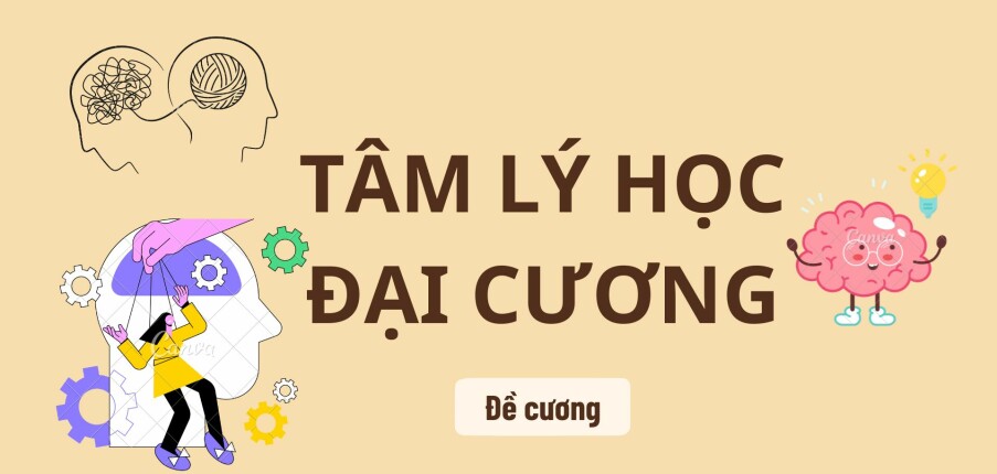 Top 100 câu hỏi ôn tập học phần Tâm lý học đại cương | Tổng hợp nhiều trường Đại học (2025)