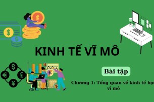 Bài tập TỔNG QUAN VỀ KINH TẾ HỌC VĨ MÔ (có đáp án) | Kinh tế vĩ mô | Học viện Ngoại Giao (2025)