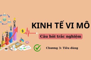 46 Câu hỏi trắc nghiệm về TIÊU DÙNG (có đáp án) | Đề cương ôn tập môn Kinh tế vi mô (2025)