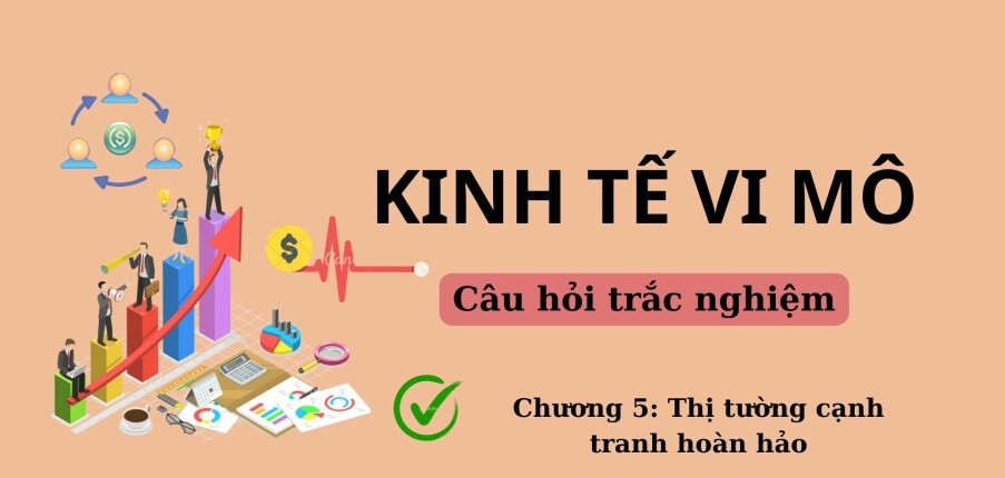 36 Câu hỏi trắc nghiệm về THỊ TRƯỜNG CẠNH TRANH HOÀN HẢO (có đáp án) | Đề cương ôn tập môn Kinh tế vi mô (2025)