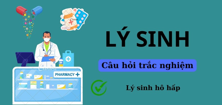 29 Câu hỏi trắc nghiệm LÝ SINH HÔ HẤP (có đáp án) | Trường Đại học Y dược Cần Thơ (2025)