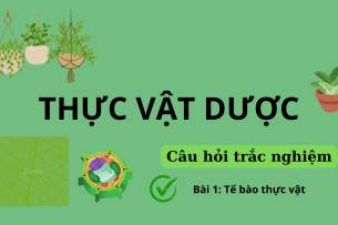 61 Câu hỏi trắc nghiệm về TẾ BÀO THỰC VẬT | Câu hỏi ôn tập môn Thực vật dược | Trường Đại học Nguyễn Tất Thành (2025)