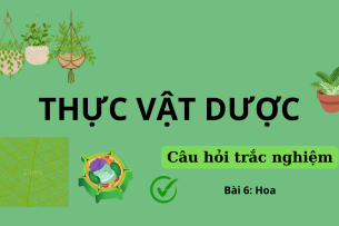 53 Câu hỏi trắc nghiệm về HOA (có đáp án) | Câu hỏi ôn tập môn Thực vật dược | Trường Đại học Nguyễn Tất Thành (2025)