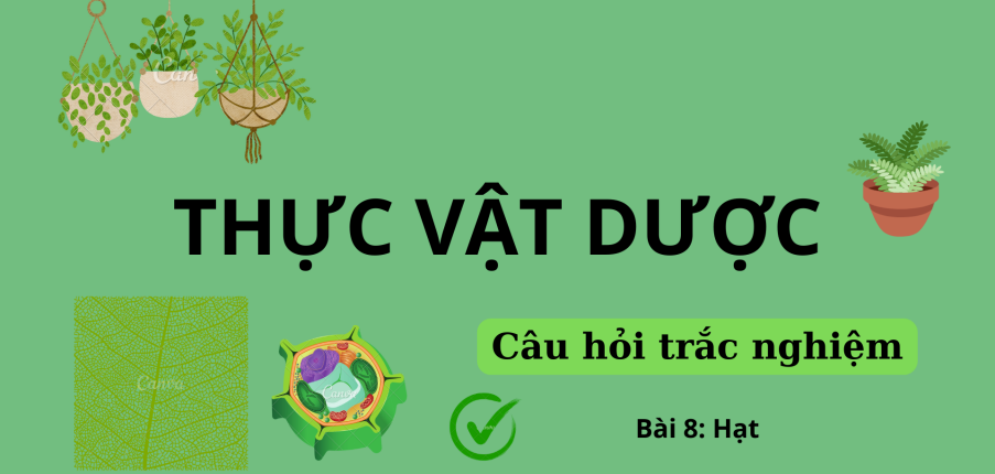 31 Câu hỏi trắc nghiệm về HẠT (có đáp án) | Câu hỏi ôn tập môn Thực vật dược | Trường Đại học Nguyễn Tất Thành (2025)