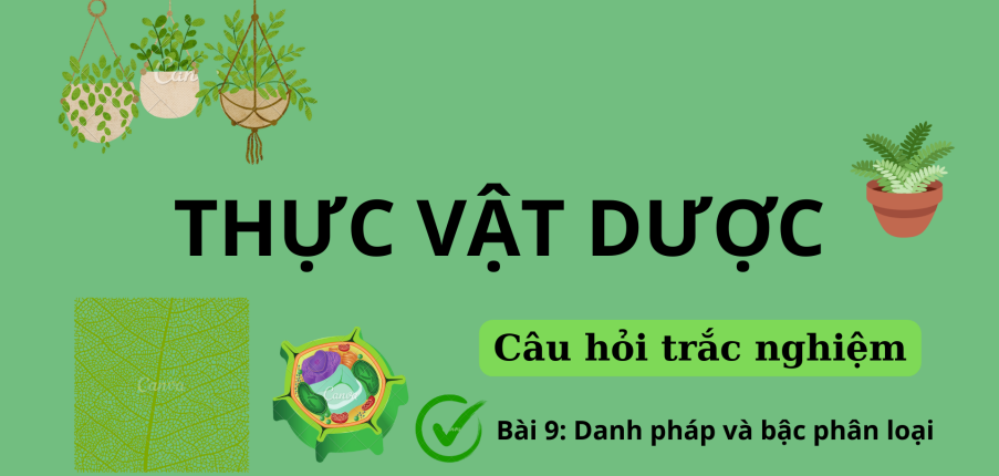 16 Câu hỏi trắc nghiệm về DANH PHÁP VÀ BẬC PHÂN LOẠI (có đáp án) | Câu hỏi ôn tập môn Thực vật dược | Trường Đại học Nguyễn Tất Thành (2025)