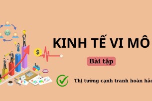 TOP 17 bài tập về THỊ TRƯỜNG CẠNH TRANH HOÀN HẢO | Đề cương ôn tập môn Kinh tế vi mô | Trường Đại học Thương Mại (2025)