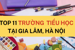 TOP 11 trường Tiểu học hàng đầu tại Gia Lâm, Hà Nội (2025)
