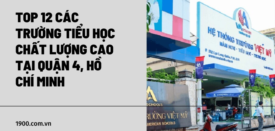 Top 12 các Trường Tiểu học chất lượng cao tại quận 4, Hồ Chí Minh (2025)
