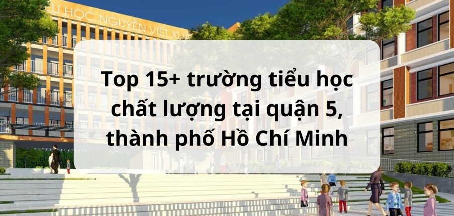 Top 15+ trường tiểu học chất lượng tại quận 5, thành phố Hồ Chí Minh (2025)