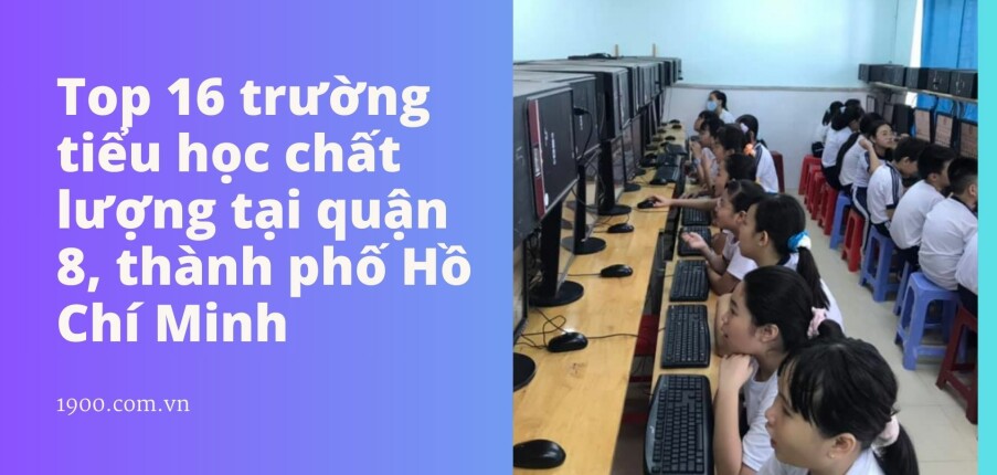 Top 16 trường tiểu học chất lượng tại quận 8, thành phố Hồ Chí Minh (2025)