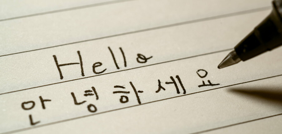 TOP 5 Trung tâm giao tiếp tiếng Hàn uy tín, chất lượng ở Quận Thủ Đức (2025)