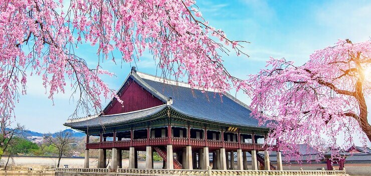 Top 5 Trung Tâm Giao Tiếp Tiếng Hàn Chất Lượng ở Quận Bình Thạnh (2025)