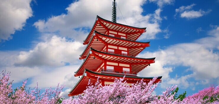 Top 5 Trung Tâm Giao Tiếp Tiếng Nhật Uy Tín tại Quận Gò Vấp (2025)