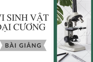 Bài giảng PPT (Power Point) học phần Vi sinh vật đại cương  | SLIDE | Đại học Bách Khoa Hà Nội (2025)