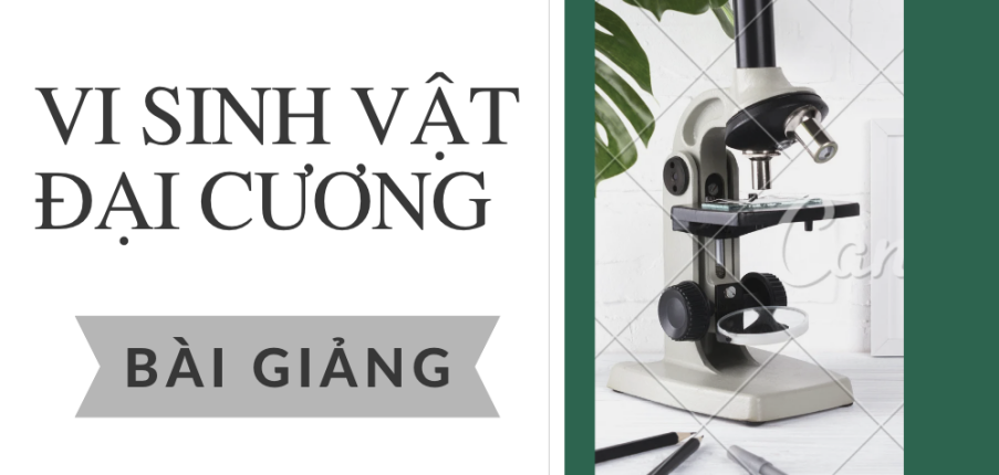 Bài giảng PPT (Power Point) học phần Vi sinh vật đại cương  | SLIDE | Đại học Bách Khoa Hà Nội (2025)