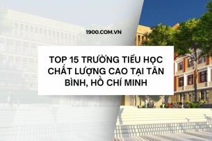 Top 15 Trường Tiểu học chất lượng cao tại Tân Bình, Hồ Chí Minh (2025)