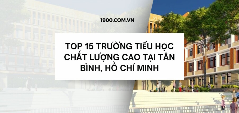 Top 15 Trường Tiểu học chất lượng cao tại Tân Bình, Hồ Chí Minh (2025)