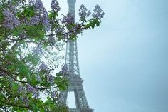 Top 16 trung tâm dạy học tiếng Pháp tại Hà Nội giá rẻ (2025)