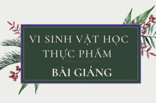Bài giảng PPT (Power Point) học phần Vi sinh vật học thực phẩm | SLIDE | Đại học Bách Khoa Hà Nội (2025)