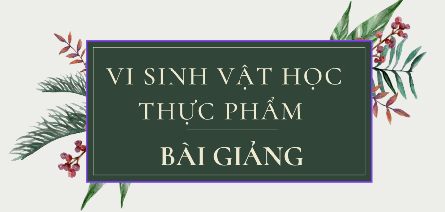 Bài giảng PPT (Power Point) học phần Vi sinh vật học thực phẩm | SLIDE | Đại học Bách Khoa Hà Nội (2025)