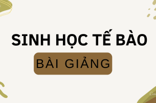 Bài giảng PPT (Power Point) học phần Sinh học tế bào | SLIDE | Đại học Bách Khoa Hà Nội (2025)